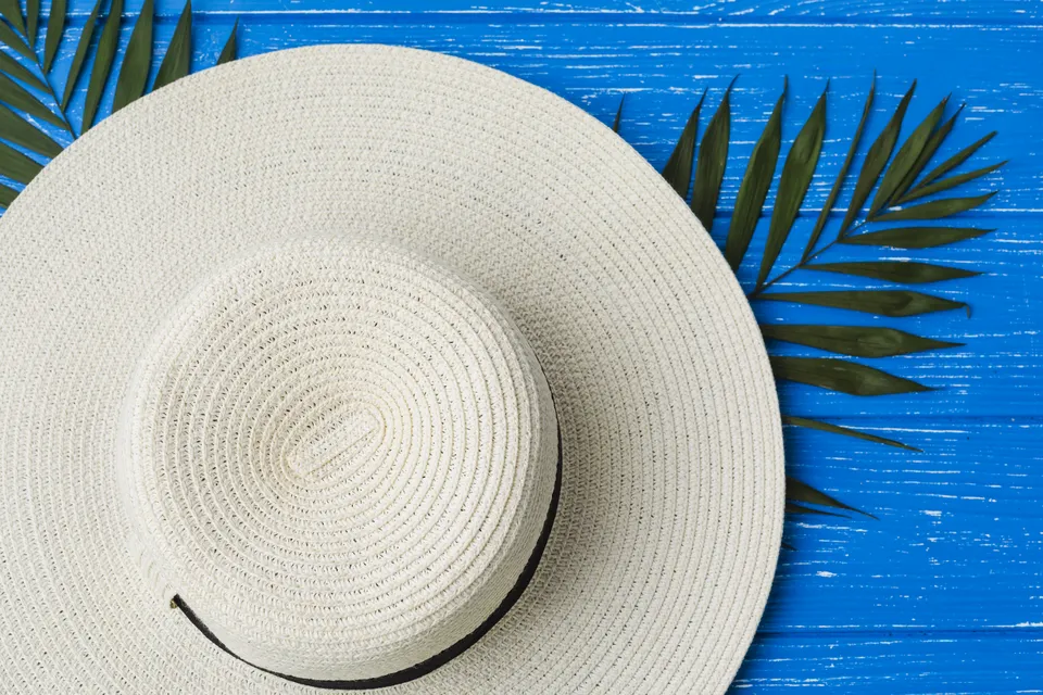 topi dedaunan tumbuhan hijau segar